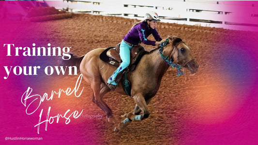 Training Your Own Barrel Horse: A Guide for Beginners