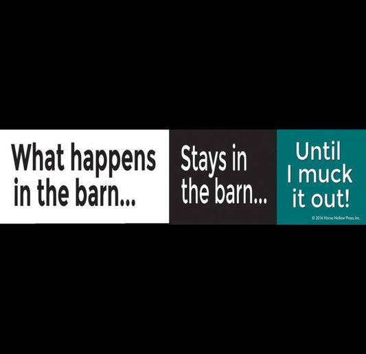 Horse Bumper Sticker: What Happens in the Barn,